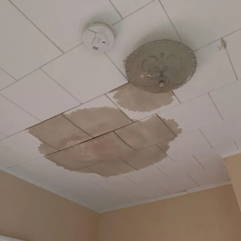 Ceiling Water Damage Repair in Tullahoma, TN