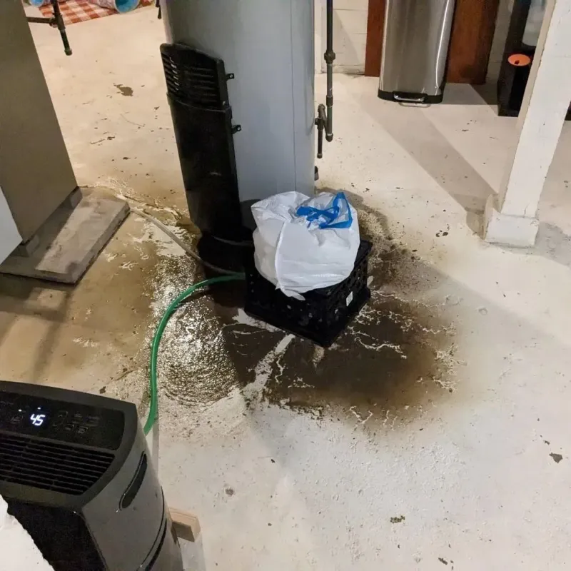 Sewage Backup Cleanup Service in Tullahoma, TN